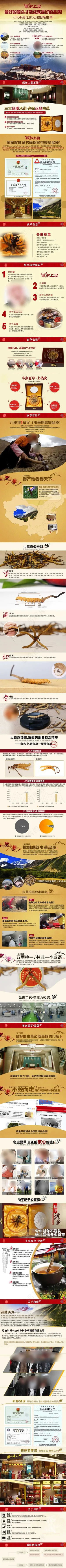 西藏特产冬虫夏草详情页设计