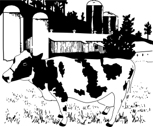 牛在农场的剪辑艺术