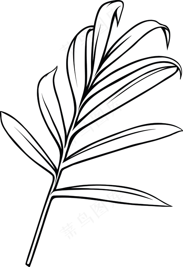 向量的热带植物