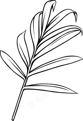 向量的热带植物