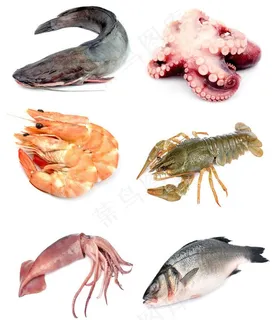 海产品图片