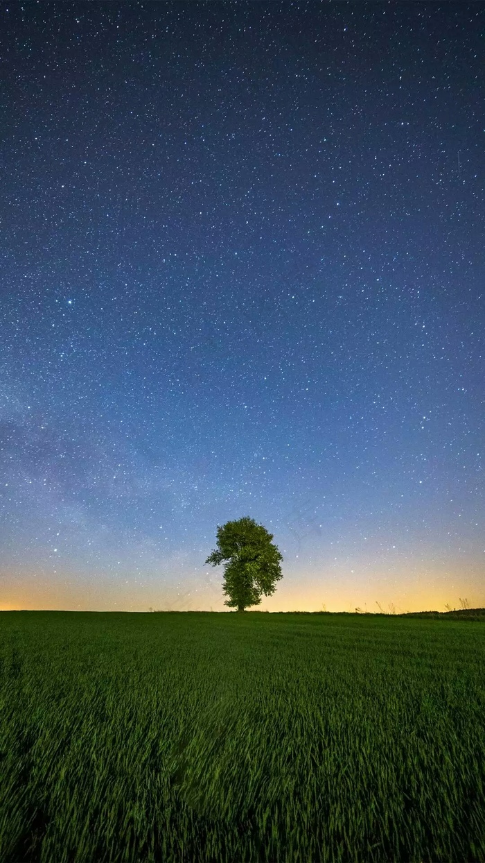 星云下的树高清摄影图片