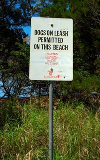 路标提示牌图片