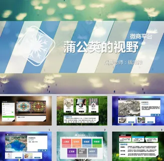 微商平台ppt模板 微商平台ppt模板