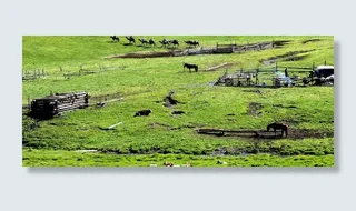 新疆草原游牧民族图片