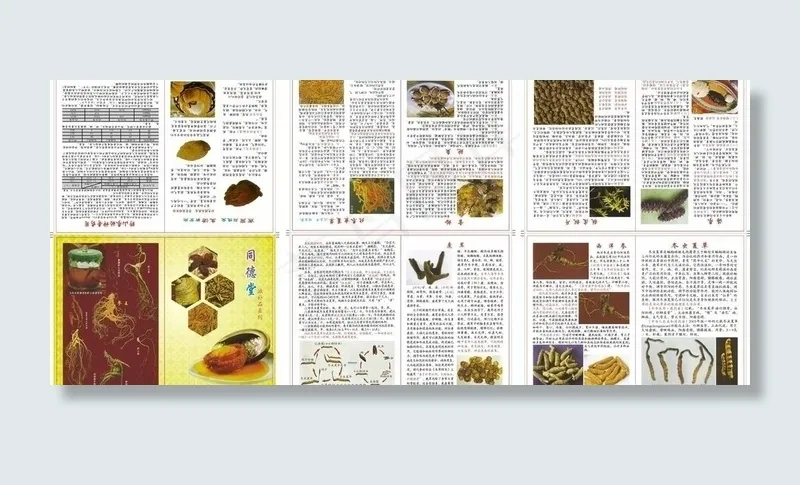 医药公司画册图片cdr矢量模版下载