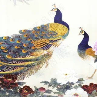 孔雀鲜花中国画
