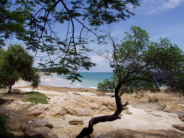 环境优雅的海滩图片