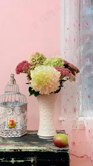 花与鸟笼高清摄影图片