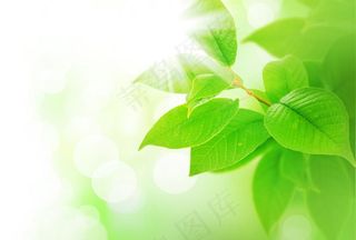 绿色梦幻背景图片