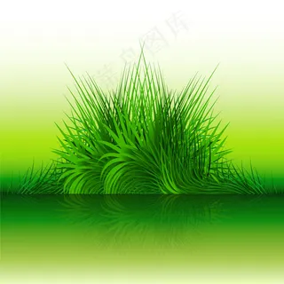 自然背景与绿草 自然背景与绿草