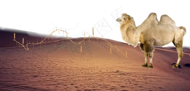 一带一路沙漠之行PNG素材