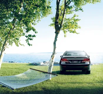 草地上的丰田轿车图片