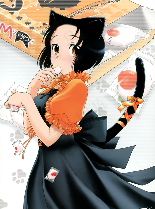 猫女 咖啡屋图片