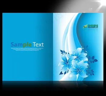 精美简洁花纹画册模板设计