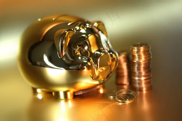 金猪