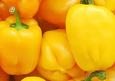 果蔬种植场网站HTML5模板