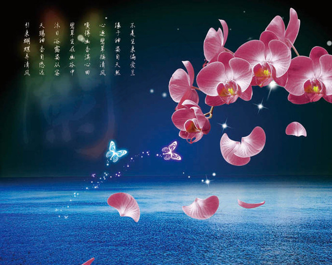 花图片