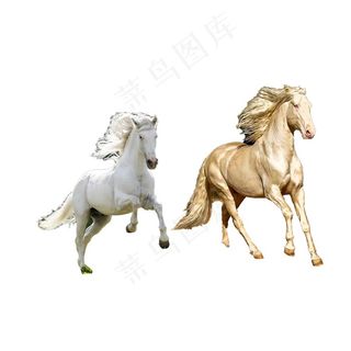 马 免抠素材PSD分层