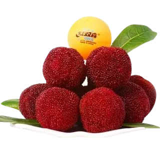 新鲜杨梅实物素材