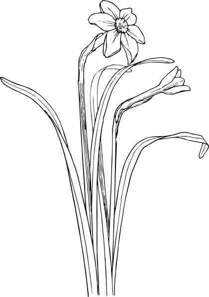 花卉植物干布什剪贴画