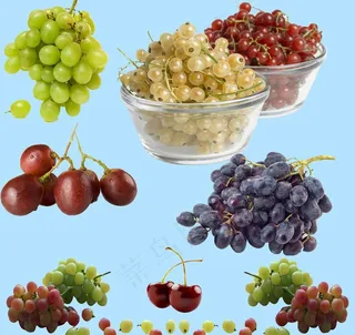 葡萄分层图片