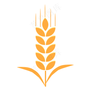 秋天矢量装饰麦穗PNG免抠素材秋天矢量装饰麦穗PNG免抠素材