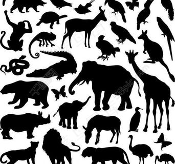 动物剪影图片