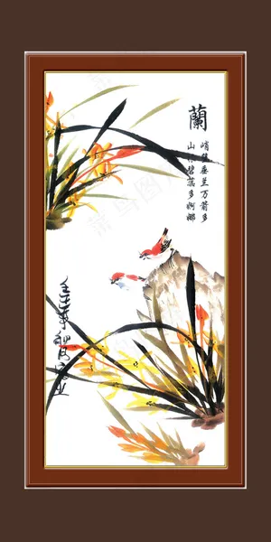兰花