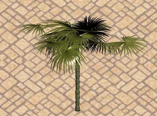 热带植物3D模型图片