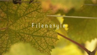 葡萄园实拍视频