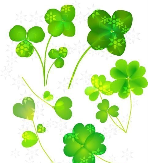 可爱的四叶草植物矢量素材