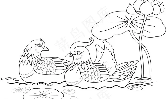 鸳鸯戏水图片cdr矢量模版下载