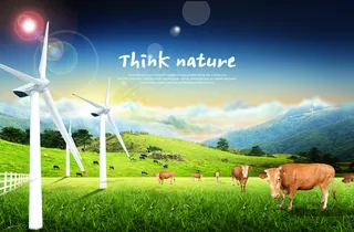 生态养殖黄牛PSD图片下载