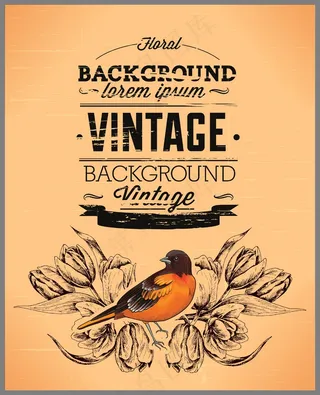 春天美丽的花和鸟的老式插画矢量