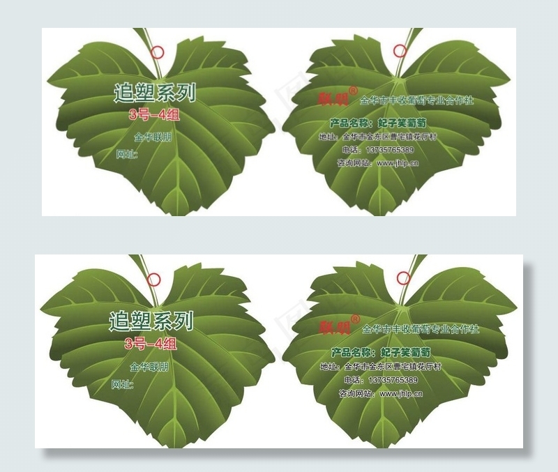 妃子笑葡萄吊牌图片