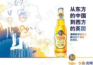 虎牌啤酒图片