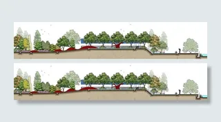园林剖面效果图图片
