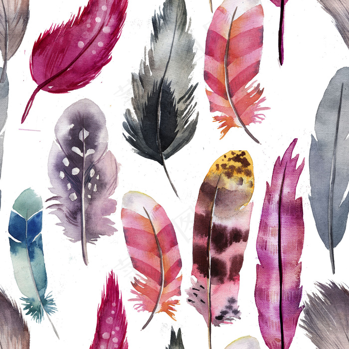 唯美复古手绘水彩羽毛png免扣设计...