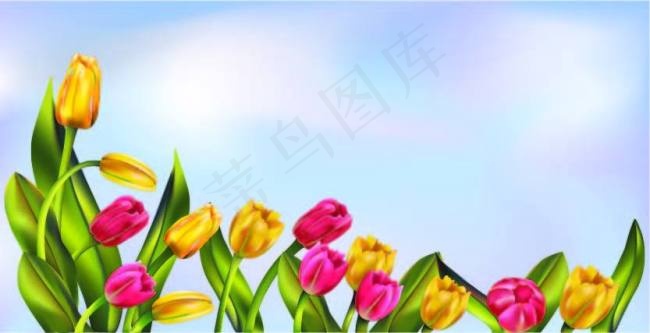 红色和黄色郁金香矢量素材ai矢量模版下载