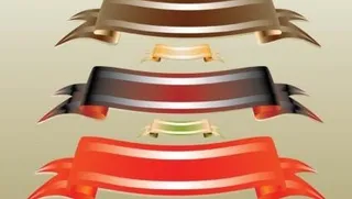 自由的旗帜矢量