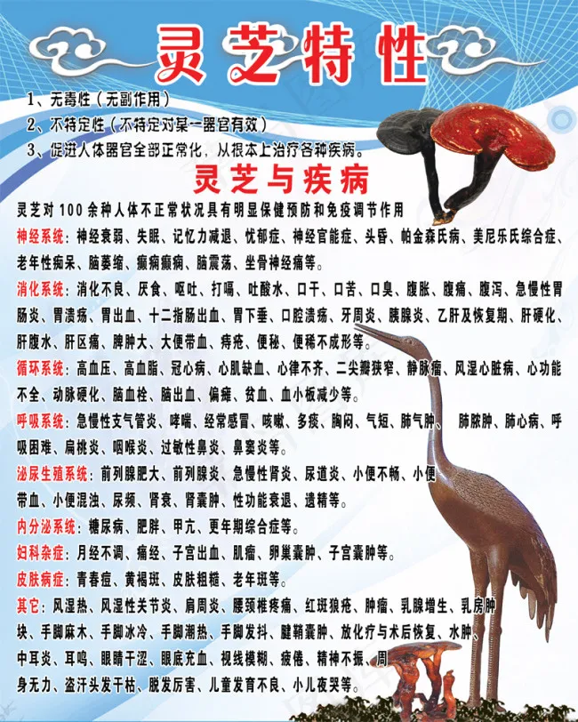 灵芝特性海报展板设计psd模版下载