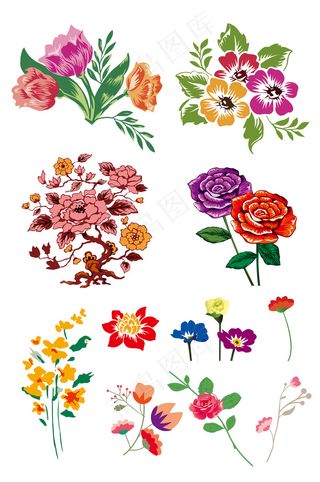 多款鲜花花朵矢量图片