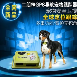 宠物用品图片