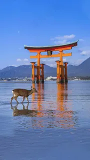 水上的门牌坊高清摄影图片