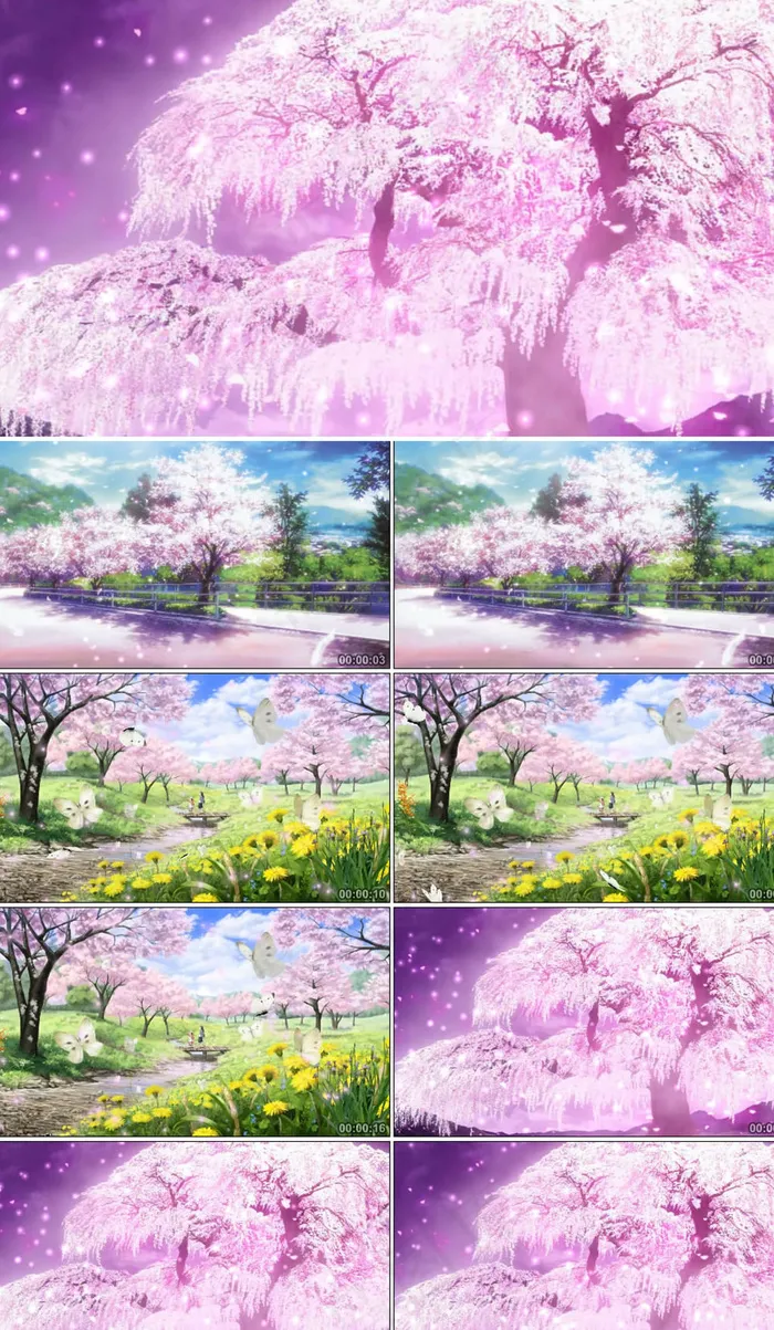 高清唯美粉色花瓣樱花飘落LED舞台...