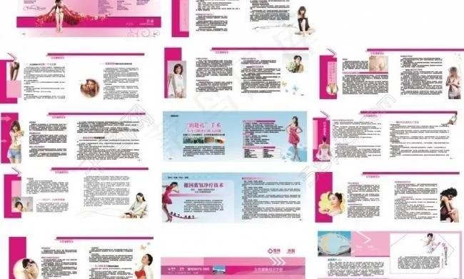 女性健康知识手册图片cdr矢量模版下载