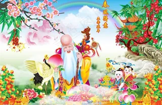 寿星图片