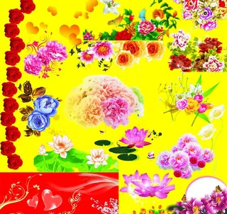 各种花朵素材图片