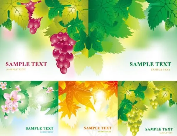 水果花朵树叶矢量素材图片eps,ai矢量模版下载